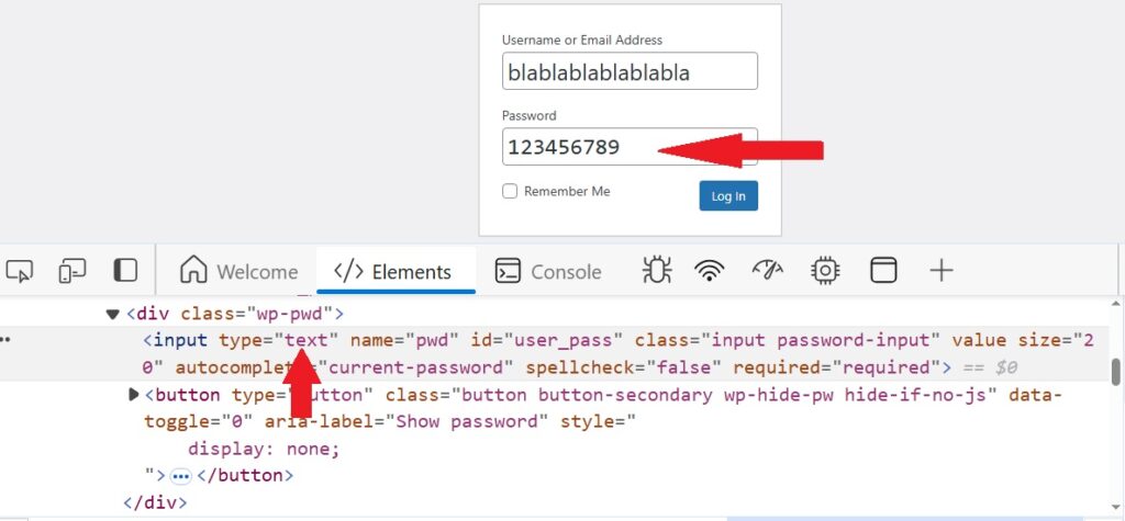 how to show hidden password